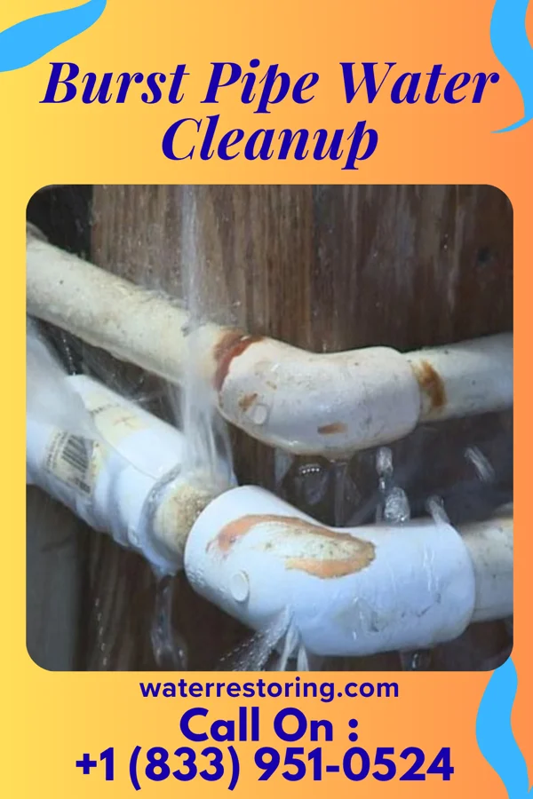 Burst Pipe Water Cleanup in Emerado, ND