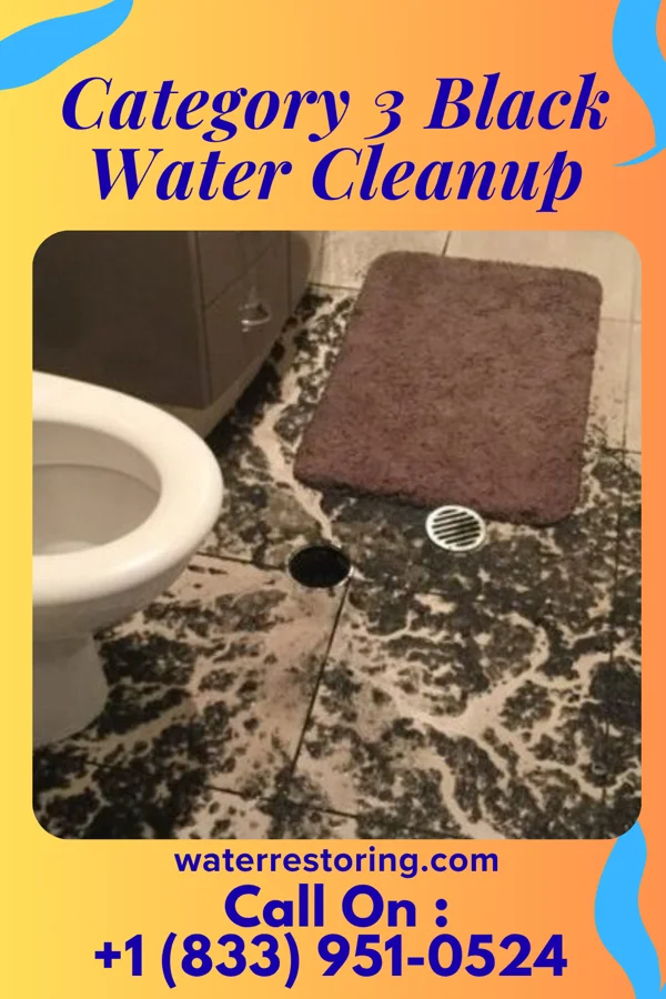 Category 3 Black Water Cleanup in Emerado, ND