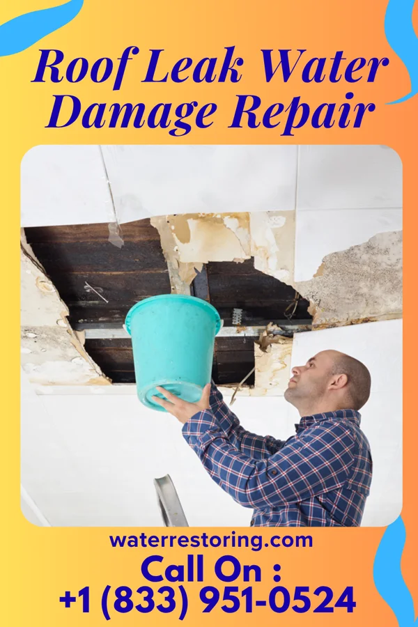 Roof Leak Water Damage Repair in Emerado, ND